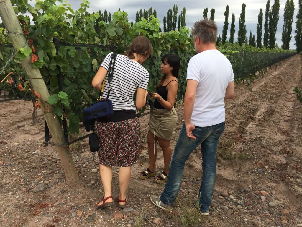 argentinien-weinreise-bodega-casarena(1)