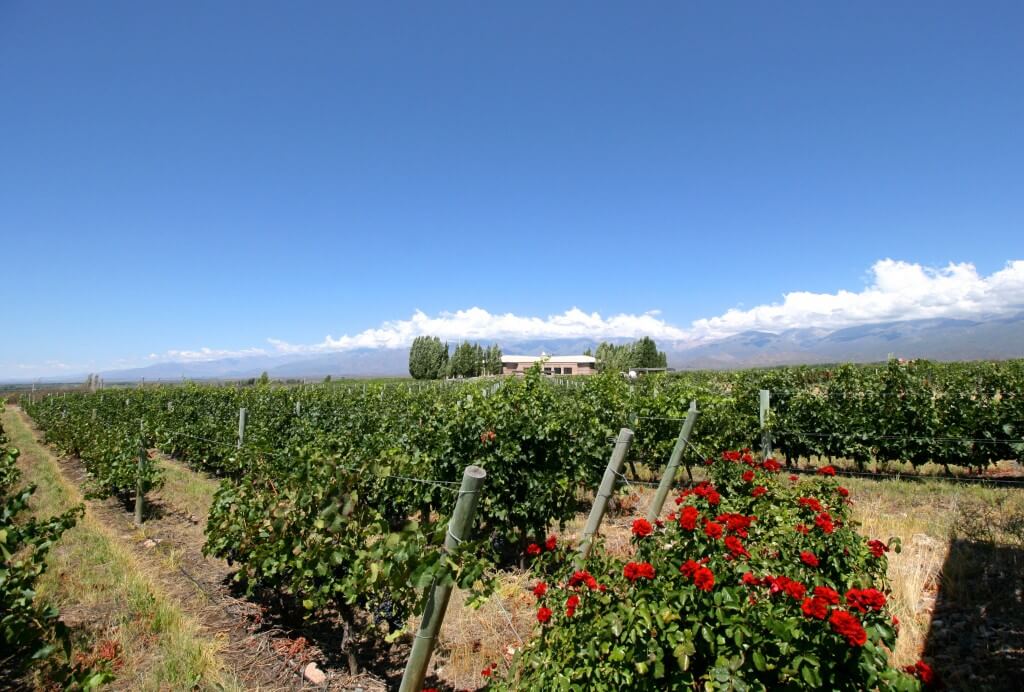 Argentinien Weinreise Mendoza - Bodega