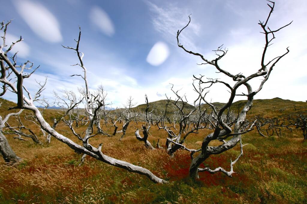 Reisetipps Patagonien: Torres del Paine Nationalpark
