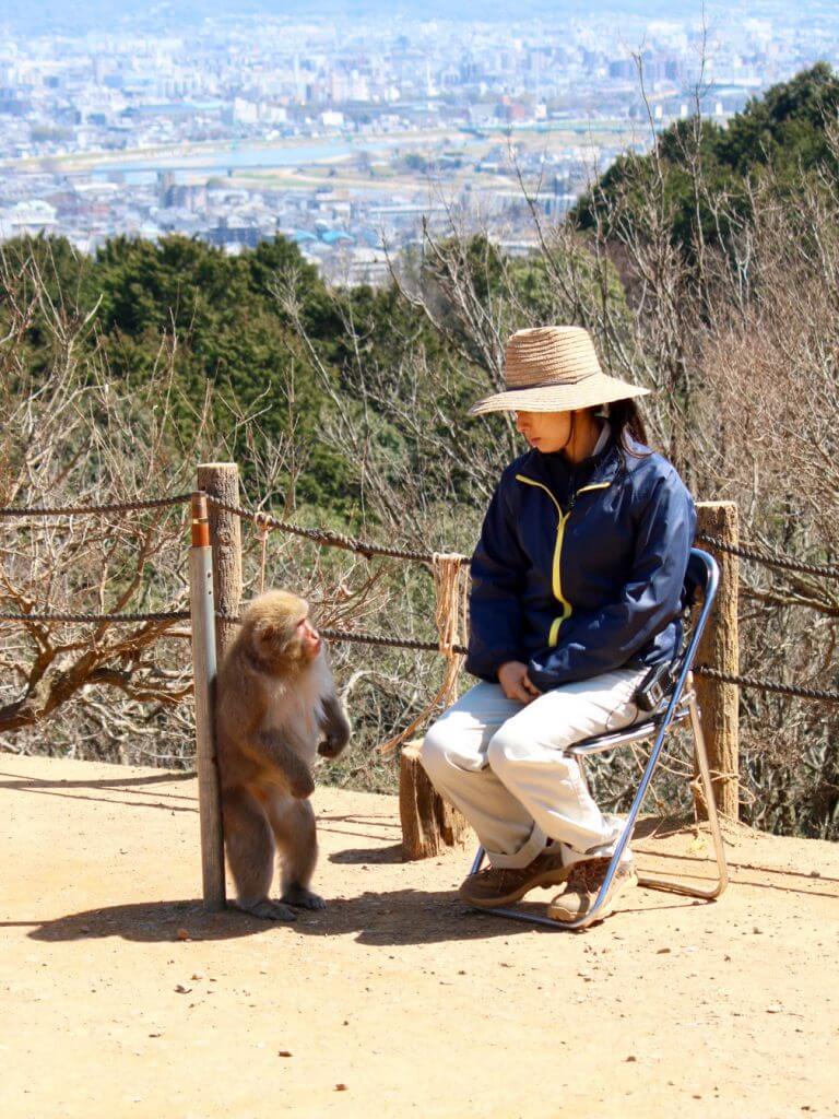 Reisetipps Kyoto: Monkey Park