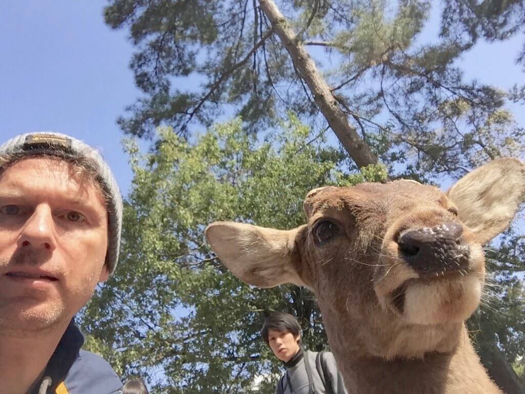 Reisetipps Kyoto: Nara-Park