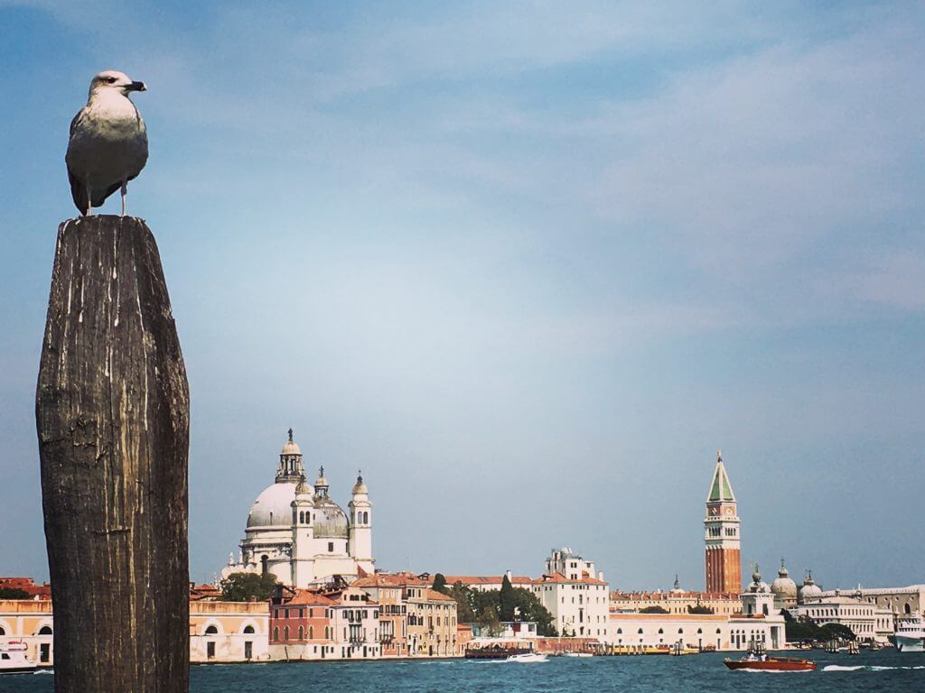 Reisetipp Venedig: Canal Grande