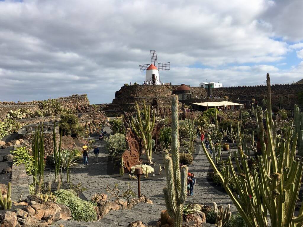 Reisetipp Lanzarote - Jardín de Cactus