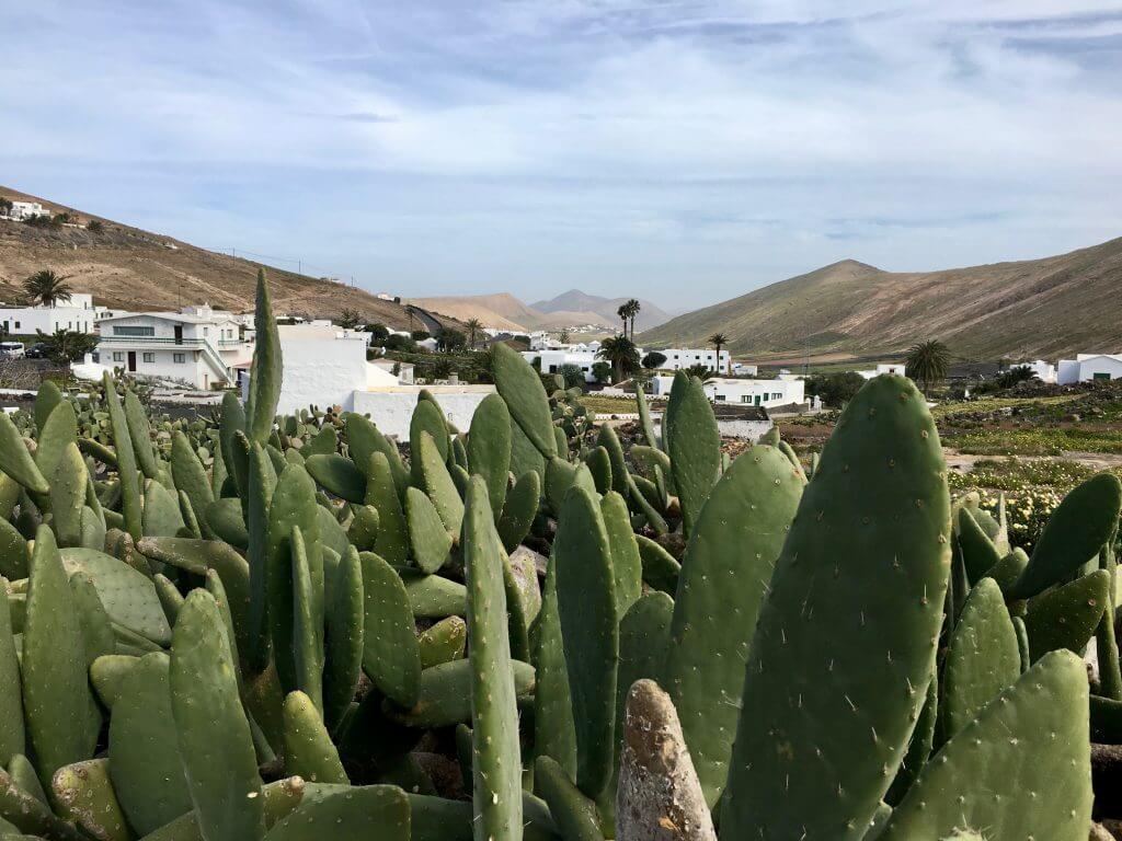 Reisetipps Lanzarote: Femés