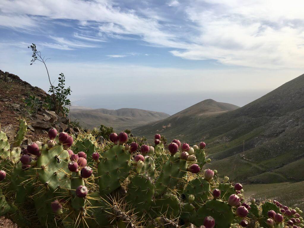 Reisetipps Lanzarote: Pico Redendo
