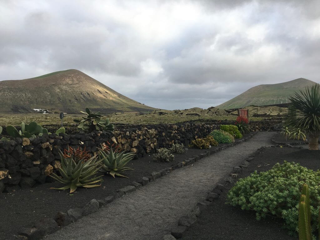 Reisetipps Lanzarote: Kakteengarten - Bodegas el Grifo