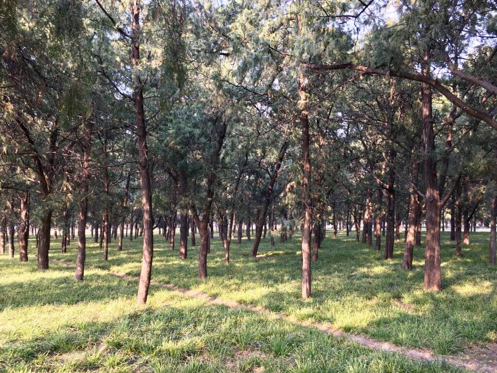Die top 5 Peking Highlights: Parkanlage im Himmelstempel
