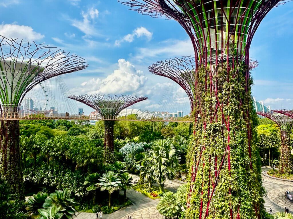 Vertikale Gärten und Supertrees in den Gardens by the Bay in Singapur, Beispiel für nachhaltige Stadtplanung