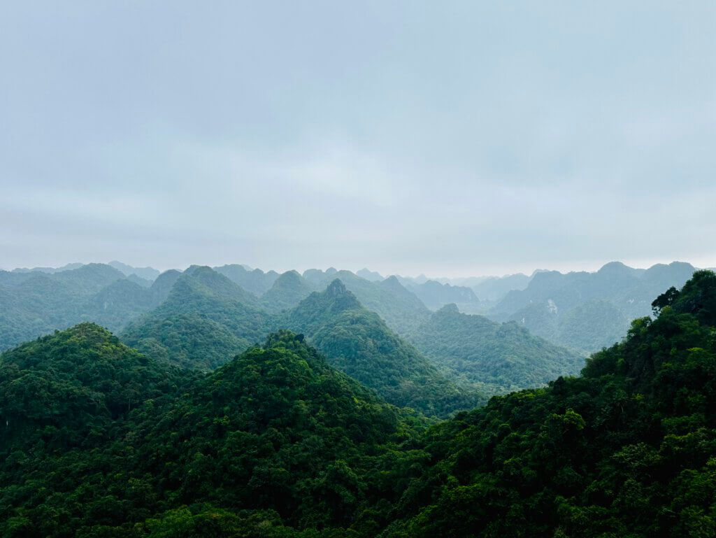Blick auf die dichten grünen Dschungelberge von Cat Ba während einer Wandertour im Cat Ba Nationalpark, Vietnam