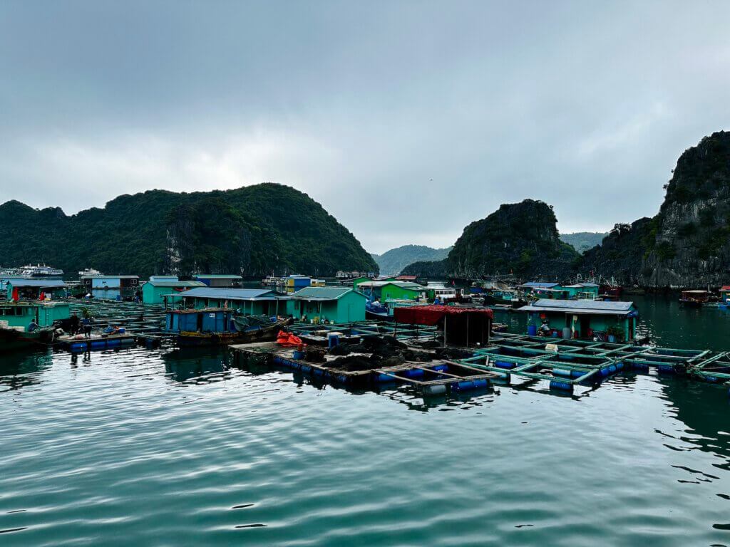 Schwimmendes Fischerdorf in der Halong-Bucht nahe Cat Ba, Vietnam, mit Häusern und Booten auf dem Wasser zwischen Karstbergen