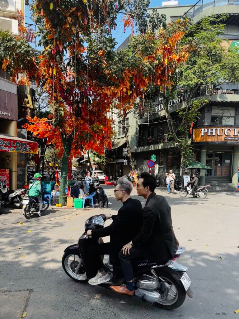 Straßenszene im Zentrum von Hanoi mit geschmücktem Wunschbaum, Motorroller und Cafés im Hintergrund, Vietnam