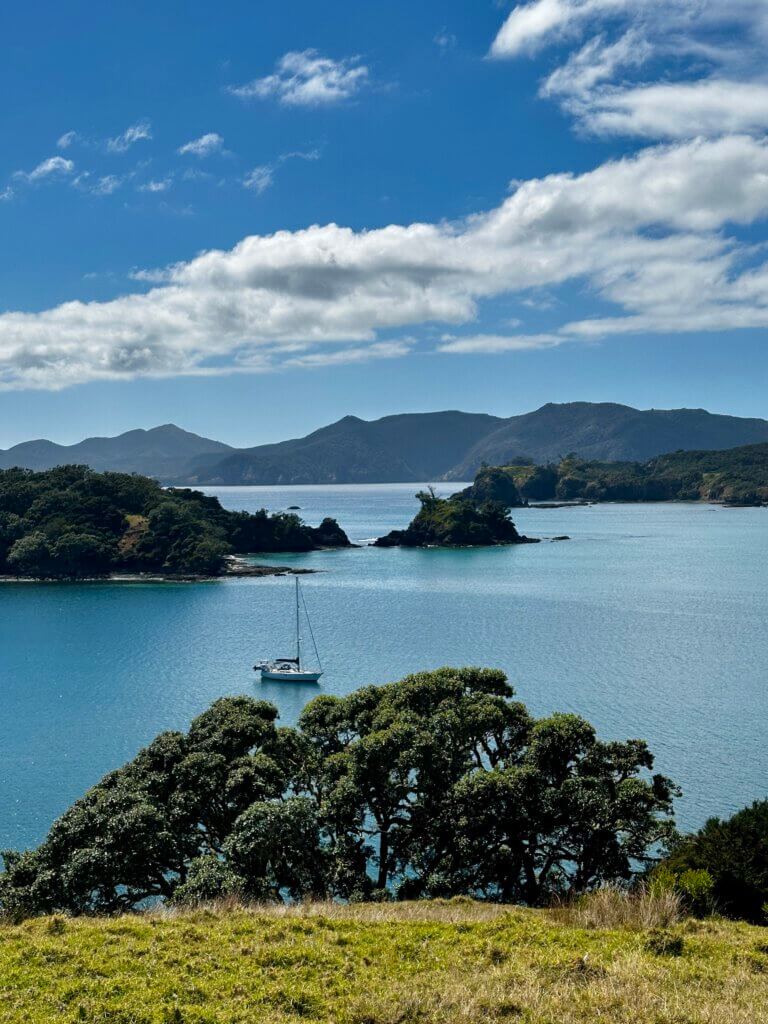 Aussicht auf türkisfarbenes Wasser und kleine bewaldete Inseln der Bay of Islands, mit einem einsamen Segelboot im Vordergrund.