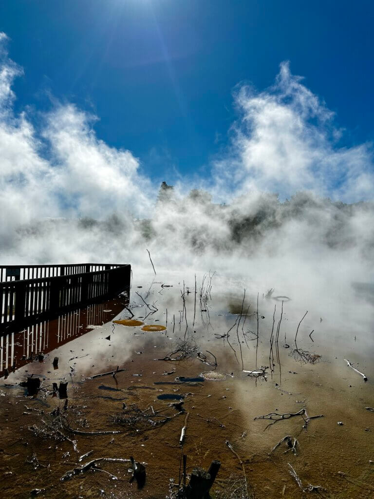 Dampfende heiße Quelle im Kuirau Park in Rotorua, mit Holzsteg und verdorrter Vegetation im Vordergrund, starkem Dampfaufstieg und grellem Sonnenlicht im Hintergrund.