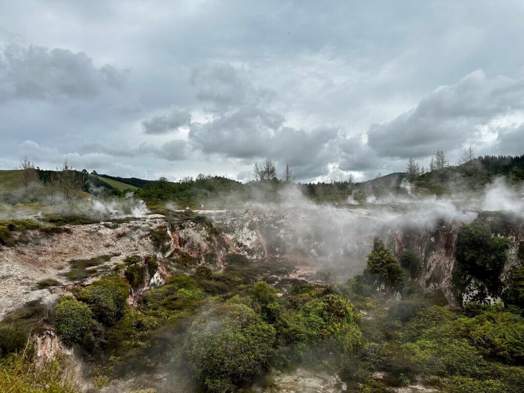 Dampfschwaden steigen aus einer geothermal aktiven Landschaft in Taupo (Craters of the Moon), umgeben von Büschen, Felsen und bewölktem Himmel.