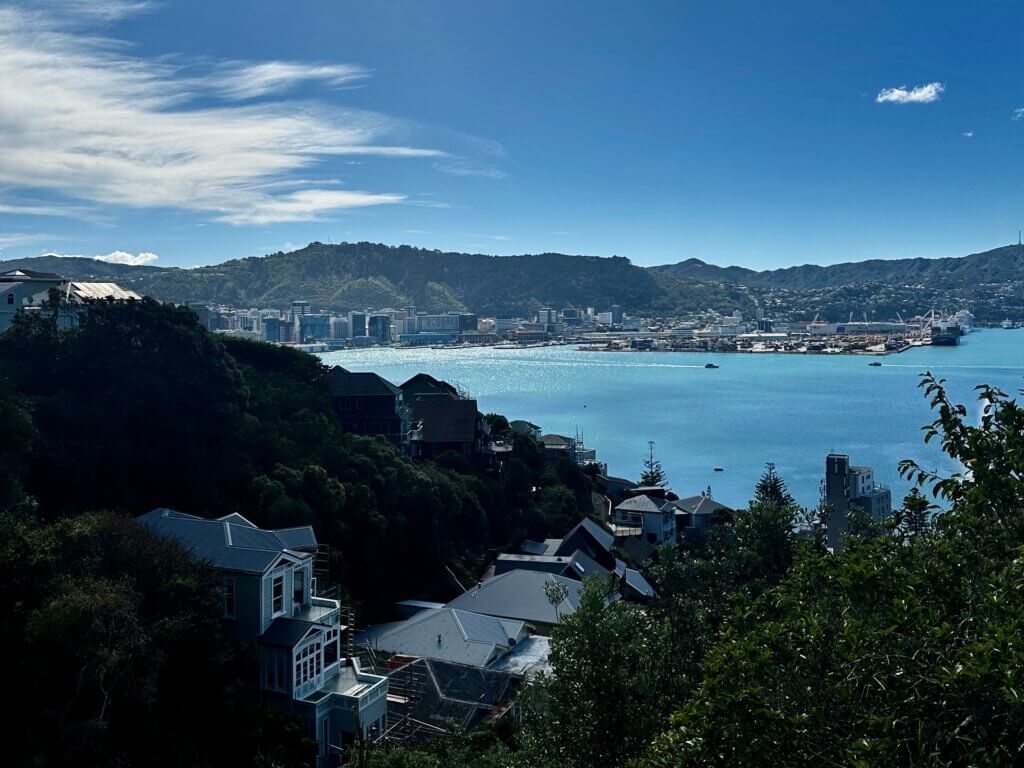 Panoramablick vom Mount Victoria auf die Stadt Wellington, den Hafen und umliegende Hügel, mit Häusern im Vordergrund und glitzerndem Wasser bei Sonnenschein.